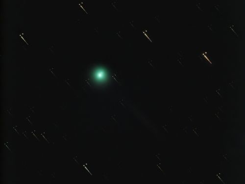 Cometa C/2023 P1 Nishimura con stelle strisciate