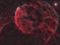 IC443 – Nebulosa Medusa (Jellyfish Nebula)