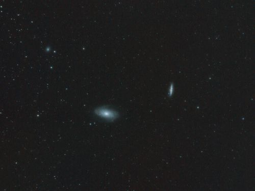 Gruppo di M81