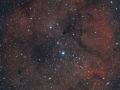 Largo campo sulla "nebulosa proboscide"