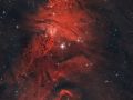Nebulosa Albero di Natale