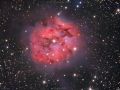 The Cocoon nebula (IC 5146) – Nebulosa bozzolo