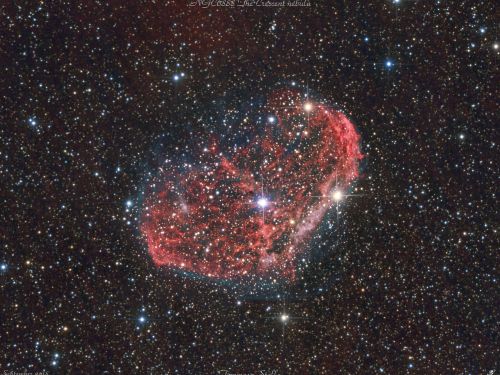 The Crescent nebula (NGC 6888) – Nebulosa Crescente