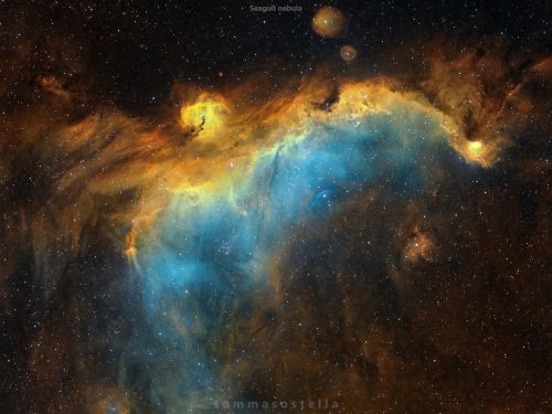 Nebulosa Gabbiano (Gum 2)