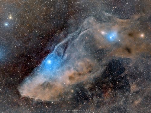 The Blue Horsehead (IC 4592)