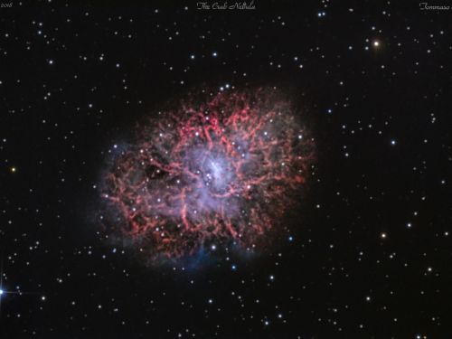 Nebulosa Granchio (M1)