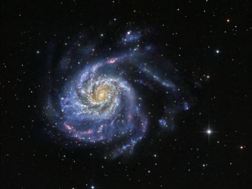 La galassia Girandola (M 101)