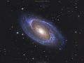 The Bode’s Galaxy M81 (NGC 3031)