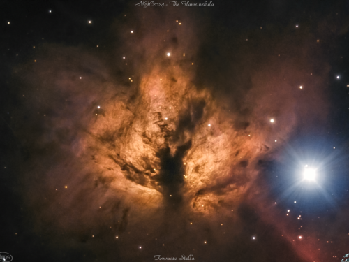 Nebulosa Fiamma e Alnitak