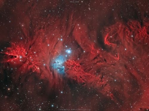 NGC 2264 nebulosa Cono e Volpe