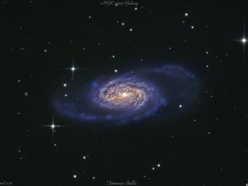 Galassia a spirale barrata NGC 2903