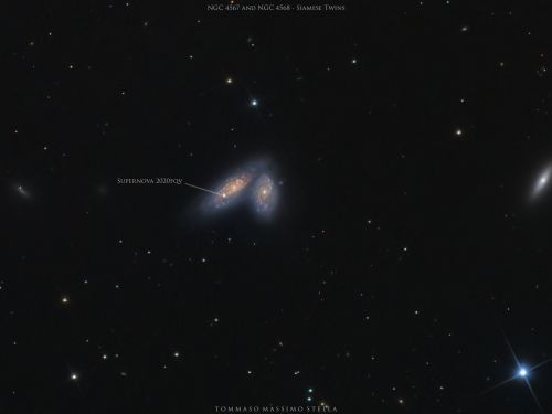 Supernova 2020fqv in NGC 4568 Galaxy