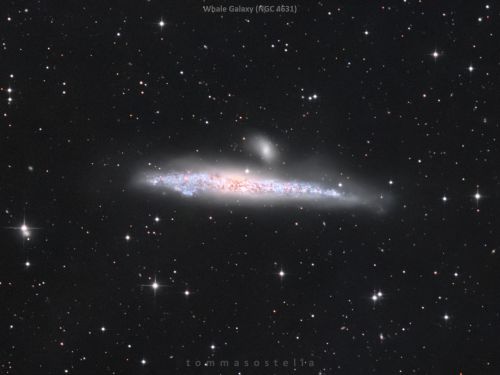 NGC 4631 Galassia Balena