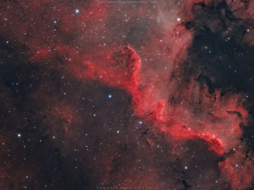 Il muro del Cigno (NGC 7000)
