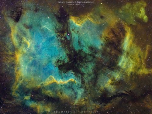 Nebulose Nord America & Pellicano in Hubble palette