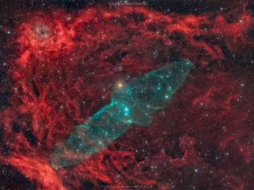 The Squid nebula (OU4)