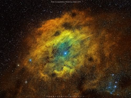 The Clamshell nebula Sh2-119