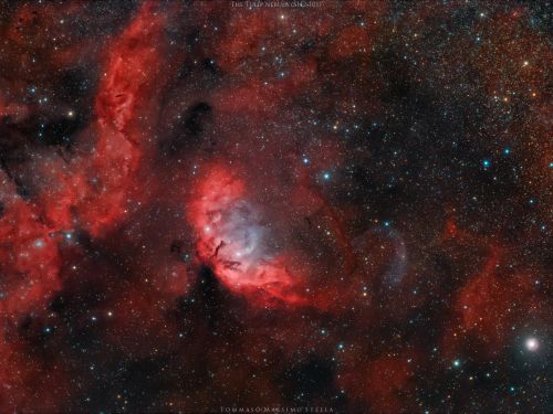 Nebulosa Tulipano Sh2-101