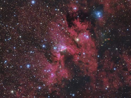 Sh2-155, Cave Nebula in Cepheus