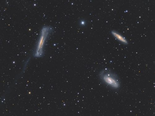 Leo trio of galaxies