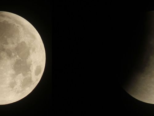 Fasi Eclissi Lunare 21 gennaio 2019