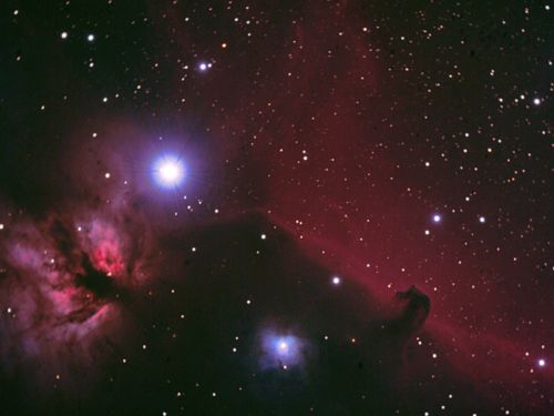 Nebulosa Fiamma e Testa di Cavallo , Dedicata a Daniele