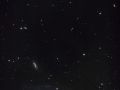 Galassia M106 & company costellazione dei Cani da Caccia