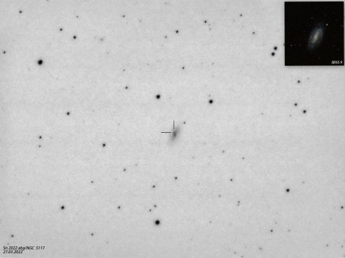 27.03.2022 Sn 2022abg Type II (NGC5117)