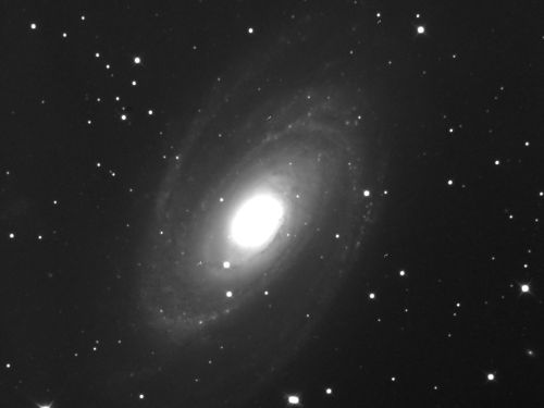 M81 in UMA