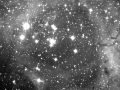 NGC2244 Rosetta – Unicorno