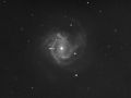SN 2014dt in M61
