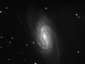 NGC 2903 in Leone