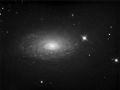NGC5055 in Cani da Caccia