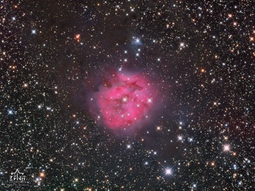 IC 5146 – Cocoon Nebula