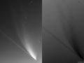 Le bande sincroniche della cometa NEOWISE