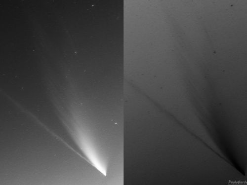 Le bande sincroniche della cometa NEOWISE