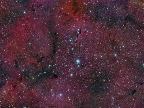 IC 1396: The Elephant’s Trunk Nebula