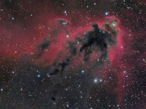 LDN1622, Boogie Man nebula in Orione