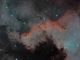 NGC 7000 - Muro del Cigno