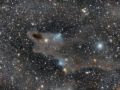 LDN 1235 Shark Nebula