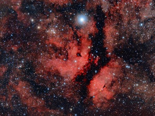 Sadr and IC1318 The Gamma Cygni Nebula