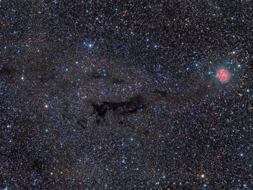 IC5146 Cocoon Nebula e B168 Dark Nebula