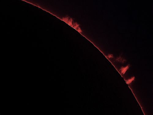 Sun, prominences, 1Aprile 2020