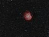 Ngc 2174 – Nebulosa testa di scimmia
