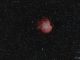 Ngc 2174 - Nebulosa testa di scimmia
