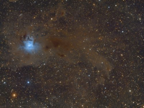 Iris Nebula – NGC 7023