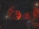 IC443 - Nebulosa Medusa