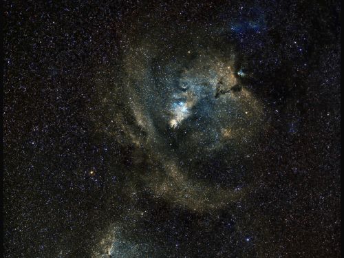 NGC2264 NEBULOSA CONO