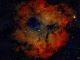 Nube gassosa IC1396