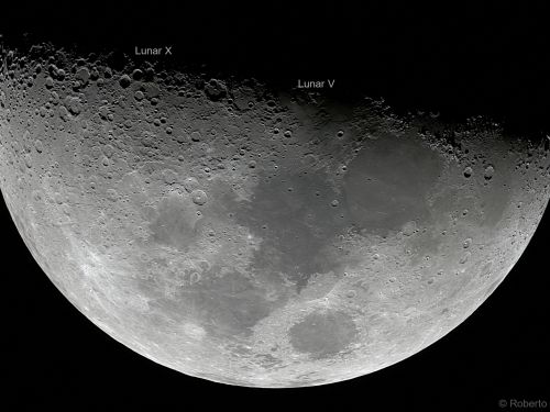 "Lunar X" e "Lunar V"